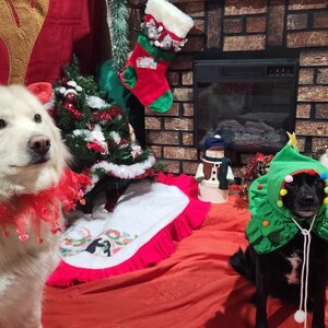 Personalised Dog Toy Storage Box, Custom Dog Portrait Felt Storage Trug With Chosen Image, Dog