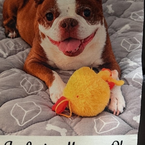 Kathie added a photo of their purchase
