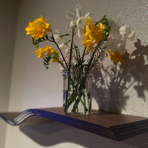 Angela added a photo of their purchase