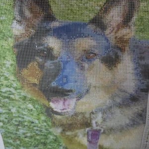 Courtney added a photo of their purchase
