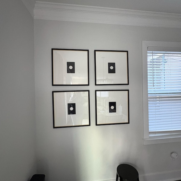 Giant Cicada Collection Real Framed - Insect Taxidermy Display