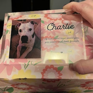 Robin added a photo of their purchase