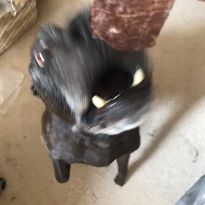 Stacey added a photo of their purchase