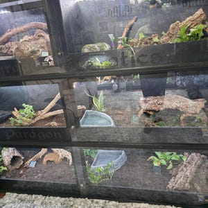 James adicionaram uma foto da sua compra