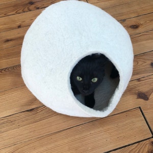 Segolene added a photo of their purchase