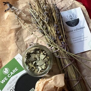 Lee added a photo of their purchase