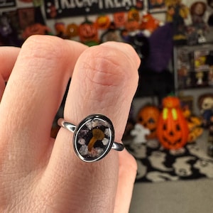 Shelly added a photo of their purchase