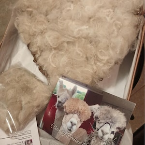 Chris added a photo of their purchase
