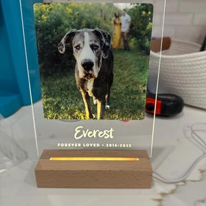 Courtney added a photo of their purchase