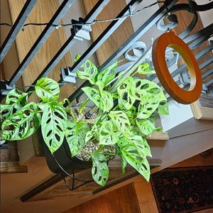 Jennifer added a photo of their purchase