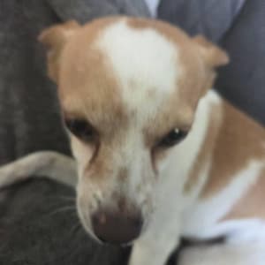 jqr added a photo of their purchase