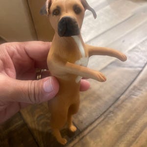 Marsha a ajouté une photo de son achat