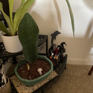 Amy added a photo of their purchase