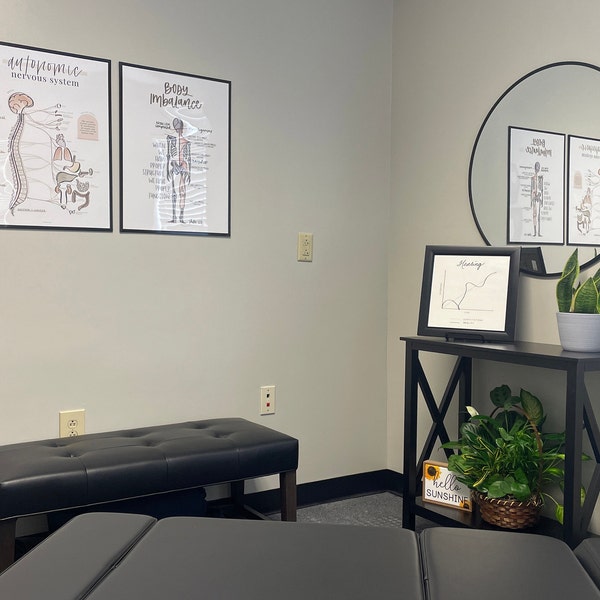 Autonomic Nervous System - Anatomy Poster for Chiropractors - Etsy