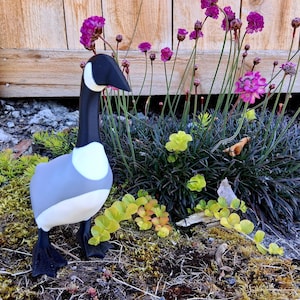 Robin added a photo of their purchase