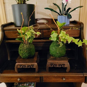 Justin ha añadido una foto de su compra