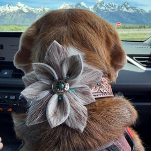 Kelly added a photo of their purchase