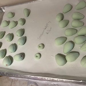 Tina added a photo of their purchase