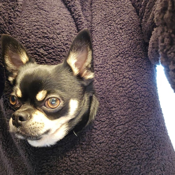 This product is a Mewgaroo pet pouch hoodie, often marketed as a cat or dog carrier sweatshirt. I have two available . 1 Black and 1 Gray