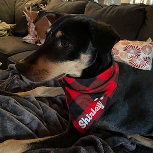 Maire added a photo of their purchase