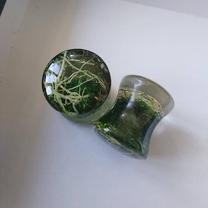 LoveofNature a ajouté une photo de son achat