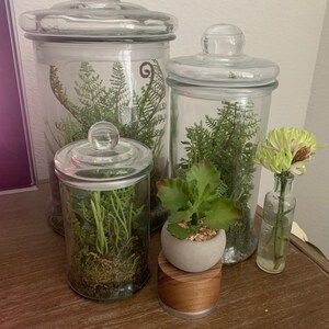 Paula added a photo of their purchase