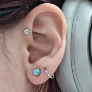 Sarah added a photo of their purchase