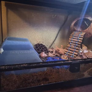 Erica added a photo of their purchase