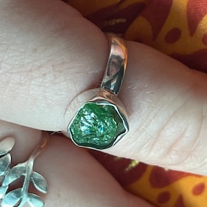 Erin added a photo of their purchase