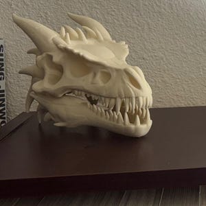 小さなドラゴンの頭蓋骨 - Etsy 日本