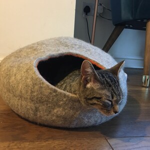 Lucy added a photo of their purchase