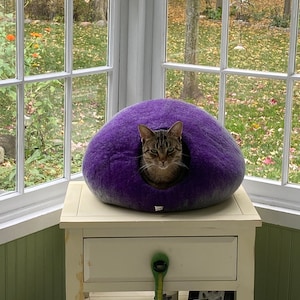 Paula added a photo of their purchase