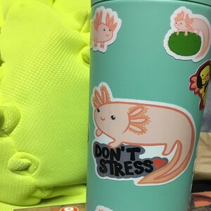 Sara added a photo of their purchase