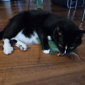 Eleonora a ajouté une photo de son achat