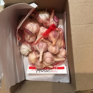 Sandra added a photo of their purchase