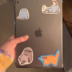Whitney added a photo of their purchase