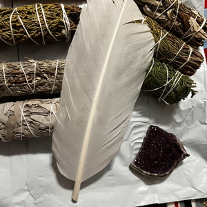 Regina ha aggiunto una foto del proprio acquisto