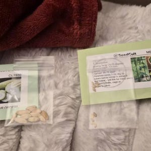 Patricia hat ein Foto des gekauften Artikels hinzugefügt