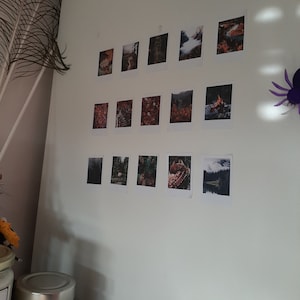 Heidi added a photo of their purchase