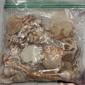 Suzanne added a photo of their purchase