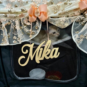 Kim added a photo of their purchase