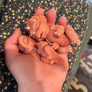 Kelsey adicionaram uma foto da sua compra