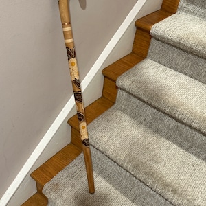 Gentleman's Walking Stick Stylish Walking Canes for Men Classic Elegant ...