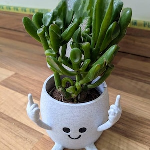 Adele added a photo of their purchase