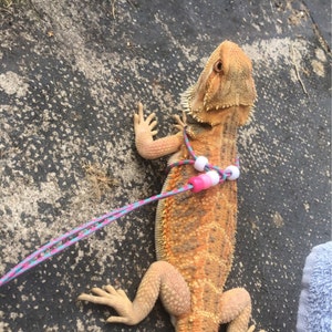 Rachel added a photo of their purchase