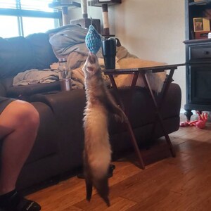 Stacey ha añadido una foto de su compra