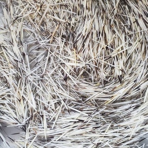 Kathleene added a photo of their purchase