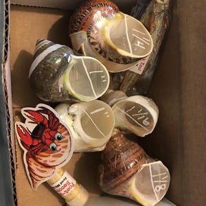 Katie added a photo of their purchase