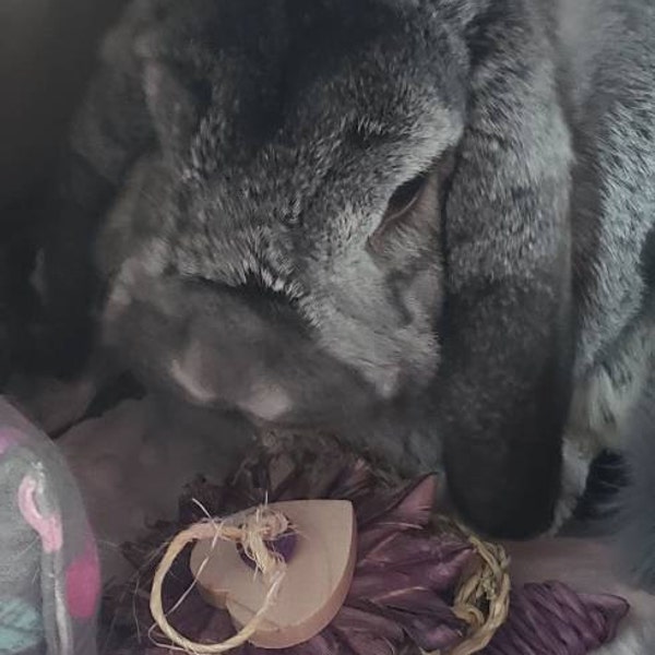 Radiant Rabbit Toy | Natural, Safe, Non-toxic, Handmade Chew Toy for ...