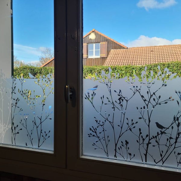 Faszinierend Glastr Folie Motiv Bild